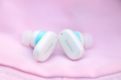 雙頻寬頻降噪新標(biāo)桿 派美特Pamu Z1，你真的不心動(dòng)嗎？